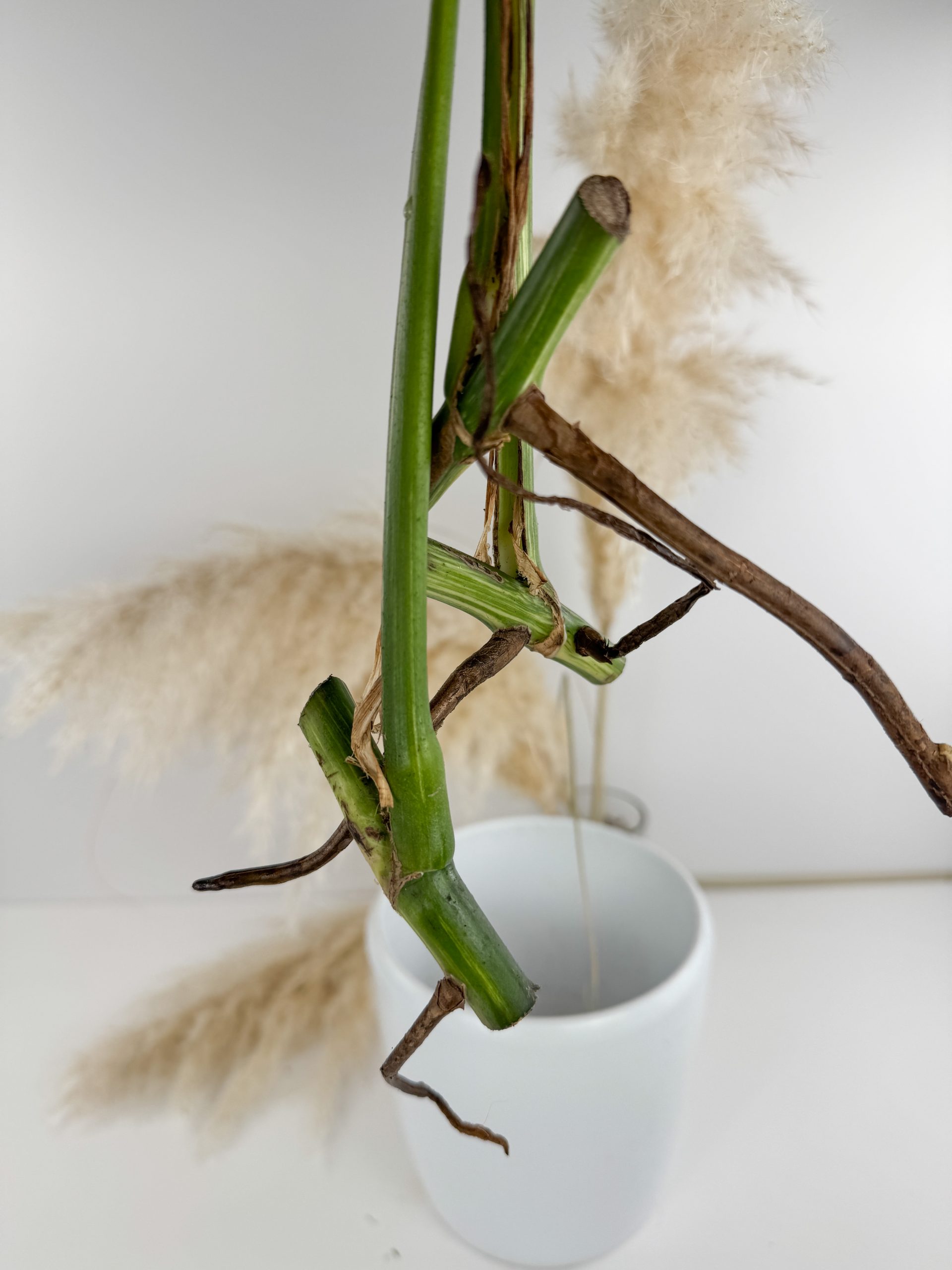 D9C9D7D8-C706-4560-ABEC-8A95F3E26F3C D9C9D7D8-C706-4560-ABEC-8A95F3E26F3C